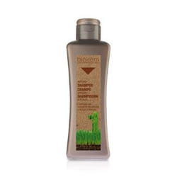 Salerm Cosmetics Shampoing argán 300 ml