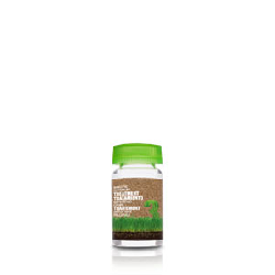 Salerm Cosmetics Traitement Spécifique Pellicules 6x 10 ml