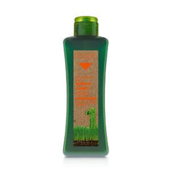 Salerm Cosmetics Shampoing Cheveux Traités 300 ml