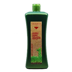 BIOKERA SHAMPOING ANTI CHUTE 1L