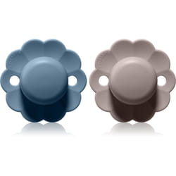 Suavinex Wonder SX Pro Physiological 6-18 m Gray Clouds + Spring Lake 2 pcs