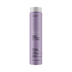 Erayba Abh Silver Shampooing No Yellow 250ml
