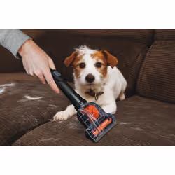 Sencor SVC 1038GR Aspirateur 1 L Aspirateur réservoir cylindrique Sec Sans sac - Vue supplémentaire 35