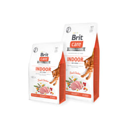 Brit 8595602540846 croquette pour chat 7 kg Adulte Poulet