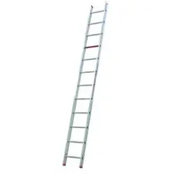 Altrex Aluminum ladder