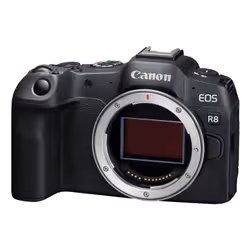 Canon EOS R8 + RF 24-105mm F4-7.1 IS STM MILC 24,2 MP CMOS 6000 x 4000 pixels Noir - Vue supplémentaire 7