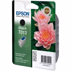 Epson Cartouche "Fleur" - Encre QuickDry N - Vue supplémentaire 2