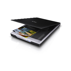 Epson Perfection V19 Numérisation à plat 4800 х 4800 A4 Noir (B11B231401)