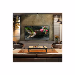 LG OLED B4 OLED55B46LA TV 139,7 cm (55") 4K Ultra HD Smart TV Wifi Noir - Vue supplémentaire 2