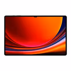 Samsung Galaxy Tab S9 Ultra5G LTE-TDD & LTE-FDD 256 Go 37,1 cm (14.6") Qualcomm Snapdragon 12 Go Android 13 Graphite - Vue supplémentaire 2