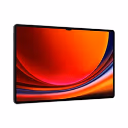 Samsung Galaxy Tab S9 Ultra5G LTE-TDD & LTE-FDD 256 Go 37,1 cm (14.6") Qualcomm Snapdragon 12 Go Android 13 Graphite - Vue supplémentaire 3