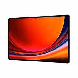 Samsung Galaxy Tab S9 Ultra5G LTE-TDD & LTE-FDD 256 Go 37,1 cm (14.6") Qualcomm Snapdragon 12 Go Android 13 Graphite - Vue supplémentaire 4