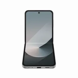 Samsung Galaxy Z Flip 6 512GB - Silver Shadow