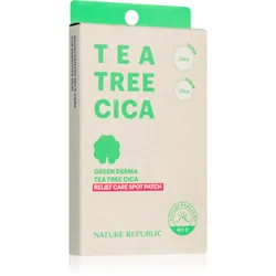 NATURE REPUBLIC Green Derma Tea Tree Cica Relief Care Spot Patch 60 pcs