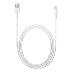 Apple MD818ZM/A câble Lightning 1 m Blanc