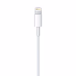 Apple MD818ZM/A câble Lightning 1 m Blanc - Vue supplémentaire 4