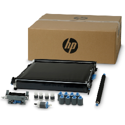 HP Kit de transfert LaserJet CE516A (CE516A)