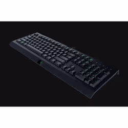Clavier Gaming filaire Razer Cynosa Lite Noir AZERTY - Vue supplémentaire 2
