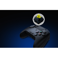 Razer Raion Fightpad Noir USB Manette de jeu Analogique/Numérique PlayStation 4