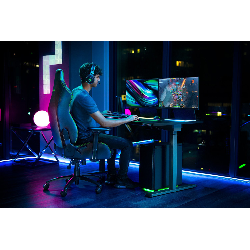 Razer Iskur XL Siège de jeu sur PC Noir, Vert
