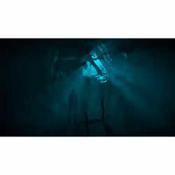 THQ Nordic Black Mirror 4 Standard Allemand, Anglais, Chinois simplifié, Espagnol, Français, Italien, Polonais, Russe PlayStation 4 - Vue supplémentaire 4