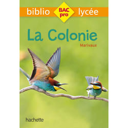 Bibliolycée Pro - La Colonie, Marivaux