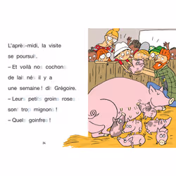 Sami et Julie CP Niveau 2 Sami à la ferme - Vue supplémentaire 2