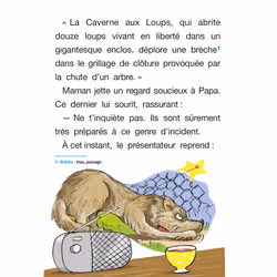 Sami et Julie Roman CE2 Sur la piste du loup - Vue supplémentaire 3