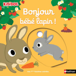 Bonjour bébé lapin ! : Le livre de Nathalie Choux