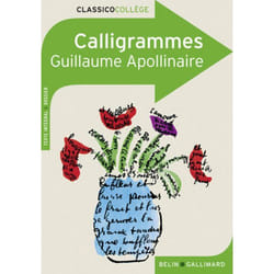 Calligrammes livre Français 224 pages