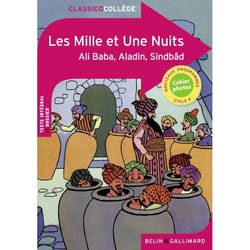 Les Mille Et Une Nuits livre Français 324 pages