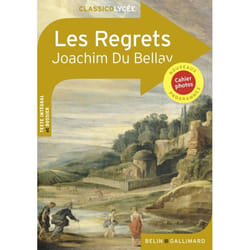 Les Regrets livre Français 320 pages