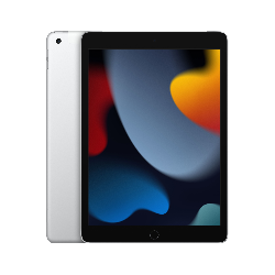 Apple iPad 4G LTE 64 Go 25,9 cm (10.2") Wi-Fi 5 (802.11ac) iPadOS 15 Argent