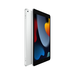 Apple iPad 4G LTE 64 Go 25,9 cm (10.2") Wi-Fi 5 (802.11ac) iPadOS 15 Argent