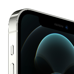 Apple iPhone 12 Pro 128 Go Argent