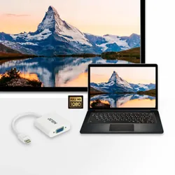 ATEN VC920 câble vidéo et adaptateur Mini DisplayPort VGA (D-Sub) Blanc