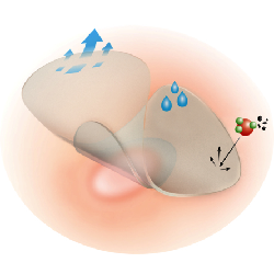 DermaPlast Effect 1,7 x 1,2 cm 16 pièce(s)