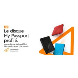 Disque dur portable externe HDDWestern Digital My Passport 1TB (WDBYVG0010BBK)