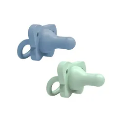 DR Browns 2 Sucettes Monobloc EN Silicone BLEU ET VERT Happy PACI 0-6M PS12008