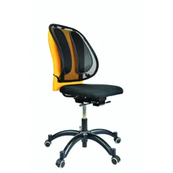 Fellowes Support dorsal en maille Office Suites