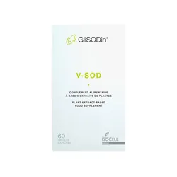 Glisodin V-sod Boite 60 Gelules