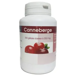 GPH Diffusion Canneberge BIO 200 Gelules 250 MG