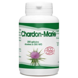 GPH Diffusion Chardon Marie 200 Gelules