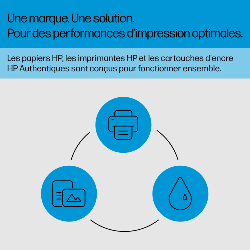 HP GT52 Originale