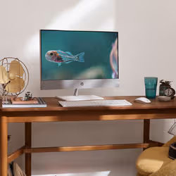 HP Pavilion 27-ca2001nk Intel® Core™ i7 i7-13700T 68,6 cm (27") 1920 x 1080 pixels Écran tactile 8 Go DDR4-SDRAM 1,26 To HDD+SSD PC All-in-One NVIDIA® GeForce® GTX 1650 Windows 11 Home Wi-Fi 6 (802.11ax) Blanc - Vue supplémentaire 5