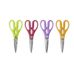 Ibili 704904C ciseau de cuisine