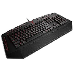 Lenovo GX30K04261 clavier USB QWERTY Noir