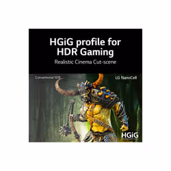 LG NanoCell 55NANO75VPA TV 55" 4K Ultra HD Smart TV Wifi Noir - Vue supplémentaire 12