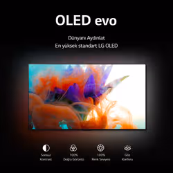 LG OLED OLED48A26LA TV 121,9 cm (48") 4K Ultra HD Smart TV Wifi Argent - Vue supplémentaire 4