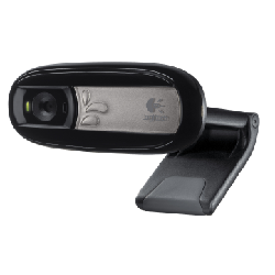 Logitech C170 webcam 5 MP 640 x 480 pixels USB 2.0 Noir